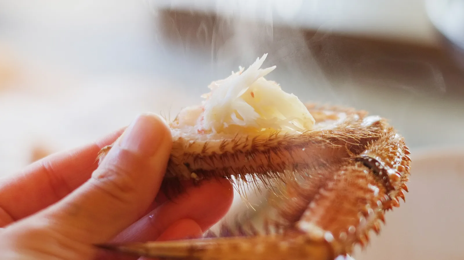 手のひらに載せたカニの甲羅とかにみそ